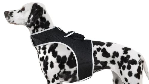 Dog Cat Collar Mount GPS Pets Tracking Device Waterproof GPRS Locator Size:S